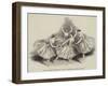 New Pas De Quatre-null-Framed Giclee Print