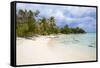 New Plymouth, beach, Green Turtle Cay, Abaco Islands, Bahamas, West Indies, Central America-Jane Sweeney-Framed Stretched Canvas