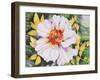 New Poppy-Mary Russel-Framed Giclee Print