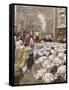 New Priests at Rome-Achille Beltrame-Framed Stretched Canvas
