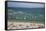 New Quay, Ceredigion, Dyfed, West Wales, Wales, United Kingdom, Europe-Billy Stock-Framed Stretched Canvas