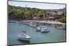 New Quay, Ceredigion, Dyfed, West Wales, Wales, United Kingdom, Europe-Billy Stock-Mounted Photographic Print