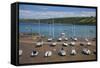 New Quay, Ceridigion, Dyfed, West, Wales, United Kingdom, Europe-Billy Stock-Framed Stretched Canvas