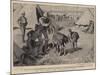 New Regimental Pets, Amusements in Camp-Alexander Stuart Boyd-Mounted Giclee Print