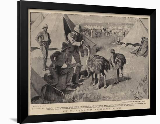 New Regimental Pets, Amusements in Camp-Alexander Stuart Boyd-Framed Giclee Print