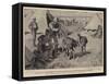 New Regimental Pets, Amusements in Camp-Alexander Stuart Boyd-Framed Stretched Canvas