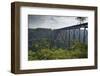 New River Bridge-johnsroad7-Framed Photographic Print
