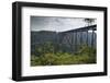 New River Bridge-johnsroad7-Framed Photographic Print