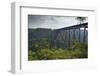 New River Bridge-johnsroad7-Framed Photographic Print