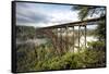 New River Gorge Bridge-Danny Head-Framed Stretched Canvas