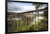 New River Gorge Bridge-Danny Head-Framed Photographic Print