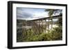 New River Gorge Bridge-Danny Head-Framed Premium Photographic Print