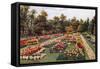 New Rose Garden, Hesketh Park, South Port-Alfred Robert Quinton-Framed Stretched Canvas