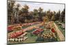 New Rose Garden, Hesketh Park, South Port-Alfred Robert Quinton-Mounted Giclee Print