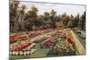 New Rose Garden, Hesketh Park, South Port-Alfred Robert Quinton-Mounted Giclee Print