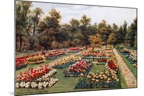 New Rose Garden, Hesketh Park, South Port-Alfred Robert Quinton-Mounted Giclee Print