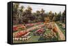 New Rose Garden, Hesketh Park, South Port-Alfred Robert Quinton-Framed Stretched Canvas