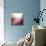New Rose Quartz B-GI ArtLab-Stretched Canvas displayed on a wall