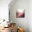 New Rose Quartz B-GI ArtLab-Mounted Giclee Print displayed on a wall