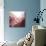 New Rose Quartz B-GI ArtLab-Mounted Giclee Print displayed on a wall