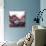 New Rose Quartz-GI ArtLab-Giclee Print displayed on a wall