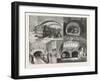 New Route to Brighton-null-Framed Giclee Print