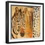 New Safari on Gold Square I-Patricia Pinto-Framed Art Print