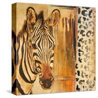 New Safari on Gold Square I-Patricia Pinto-Stretched Canvas