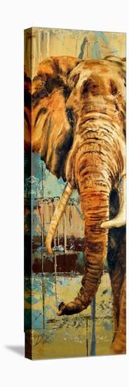 New Safari on Teal II-Patricia Pinto-Stretched Canvas