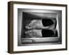 New Shoes-Paul Gibney-Framed Photographic Print