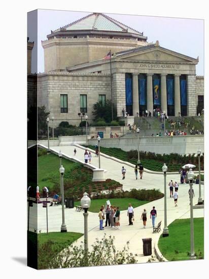 New Sidewalks and Landscaping Give Rise to the Shedd Aquarium-null-Stretched Canvas