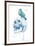 New Skull (Blue)-Balazs Solti-Framed Premium Giclee Print