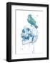 New Skull (Blue)-Balazs Solti-Framed Art Print