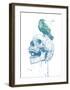 New Skull (Blue)-Balazs Solti-Framed Art Print