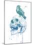 New Skull (Blue)-Balazs Solti-Mounted Art Print