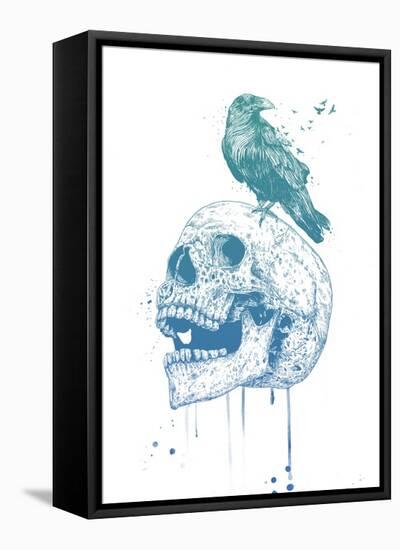 New Skull (Blue)-Balazs Solti-Framed Stretched Canvas