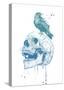 New Skull (Blue)-Balazs Solti-Stretched Canvas