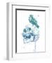 New Skull (Blue)-Balazs Solti-Framed Art Print