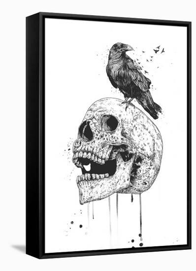 New Skull-Balazs Solti-Framed Stretched Canvas