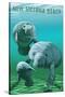 New Smyrna Beach, Florida - Manatees-Lantern Press-Stretched Canvas