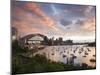 New South Wales, Lavendar Bay Toward the Habour Bridge and the Skyline of Central Sydney, Australia-Andrew Watson-Mounted Premium Photographic Print