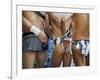 New South Wales, Sydney, Racy Outfits and Good Looking Bodies at the Annual Sydney Gay and Lesbian -Andrew Watson-Framed Photographic Print