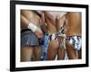 New South Wales, Sydney, Racy Outfits and Good Looking Bodies at the Annual Sydney Gay and Lesbian -Andrew Watson-Framed Photographic Print