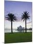 New South Wales, Sydney, Sydney Opera House Through Palms, Australia-Walter Bibikow-Mounted Photographic Print