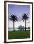 New South Wales, Sydney, Sydney Opera House Through Palms, Australia-Walter Bibikow-Framed Photographic Print