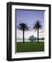 New South Wales, Sydney, Sydney Opera House Through Palms, Australia-Walter Bibikow-Framed Photographic Print