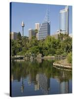 New South Wales, Sydney, the Green Surrounds of the Royal Botanic Gardens, Australia-Andrew Watson-Stretched Canvas