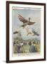 New Sport in California, Birdmen Launch Themselves from High Springboards-Achille Beltrame-Framed Art Print