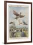 New Sport in California, Birdmen Launch Themselves from High Springboards-Achille Beltrame-Framed Art Print