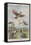 New Sport in California, Birdmen Launch Themselves from High Springboards-Achille Beltrame-Framed Stretched Canvas